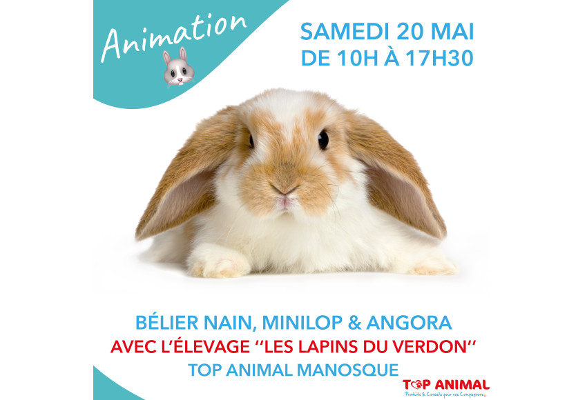 ANIMATION LAPINOUS !